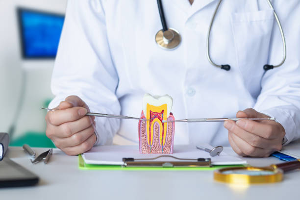 Best 24-Hour Emergency Dentist in Decordova, TX